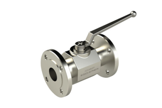 BVS2 (Flanged PN40)
