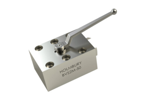 BVS2 (Manifold Type)