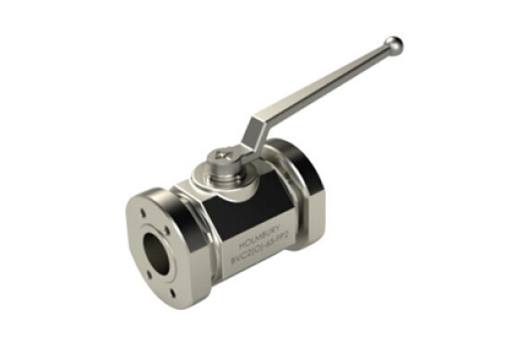 BVS2 ISO 6162 (SAE Flanged Port 61/62)