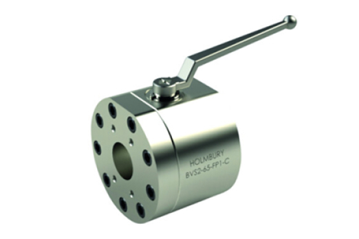 BVS2 ISO 6162 (Integrated SAE Flanged Port 61/62)