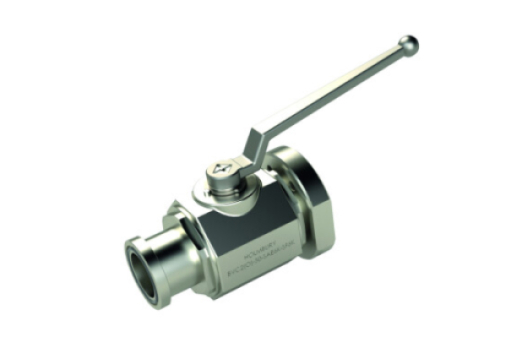 BVC2 (Integrated SAE Flanged Port - Flange Head 61/62)