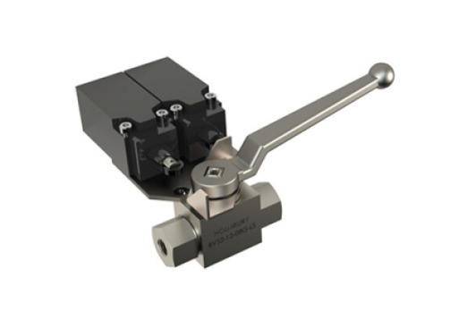 BVS2 Series (Limit Switch)